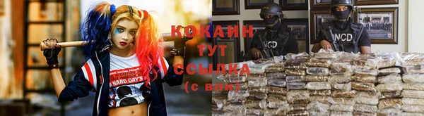 тгк Богородск