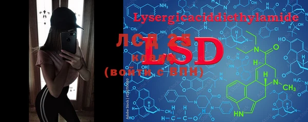 PSILOCYBIN Богородицк