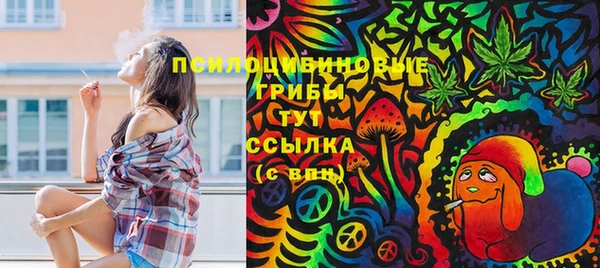PSILOCYBIN Богородицк