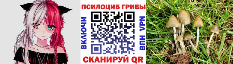 Псилоцибиновые грибы GOLDEN TEACHER  Палласовка 